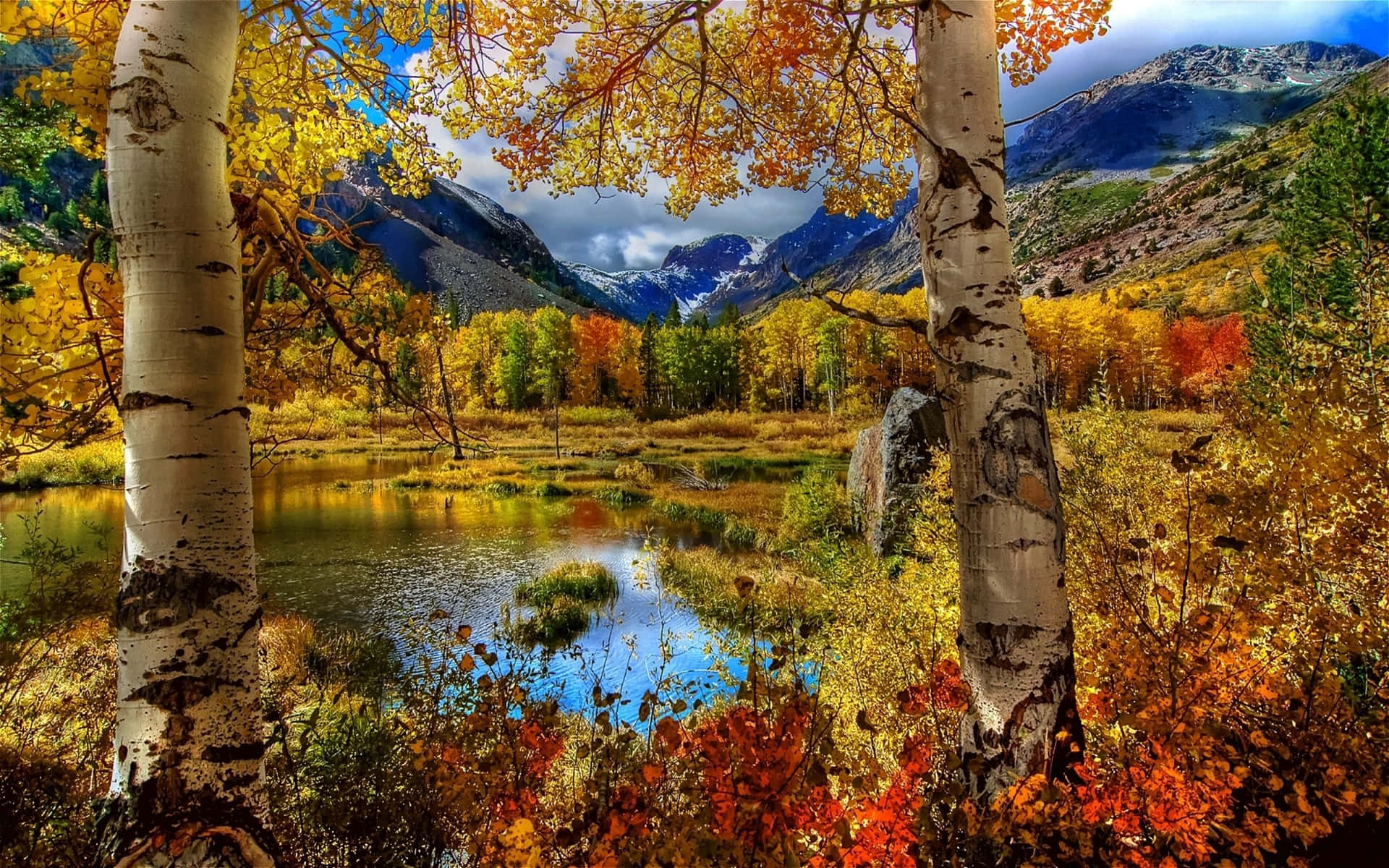 Majestic Layers of Fall Colors on a Mountain Peak Wallpaper
