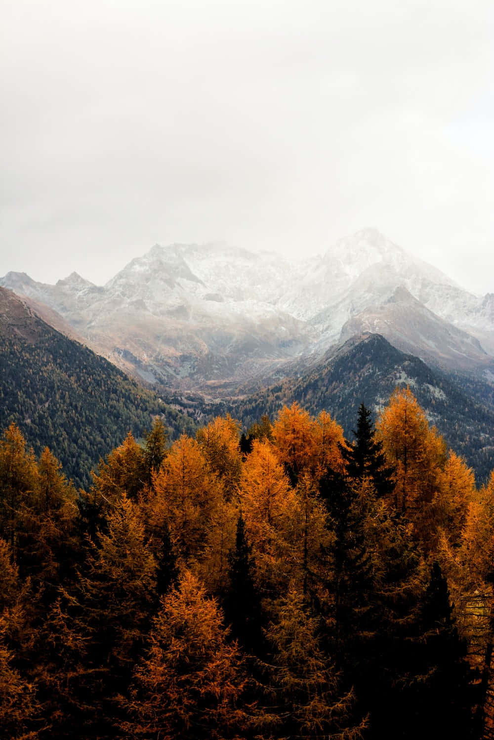 Captivating Fall Mountains Wallpaper