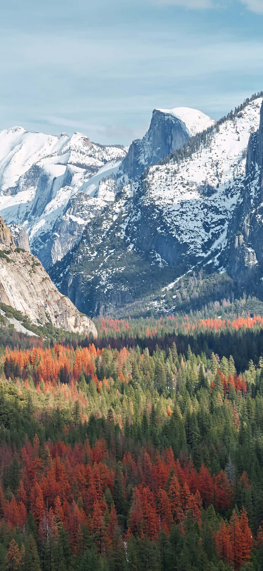 Stunning Fall Mountains in Colorful Autumn Splendor Wallpaper