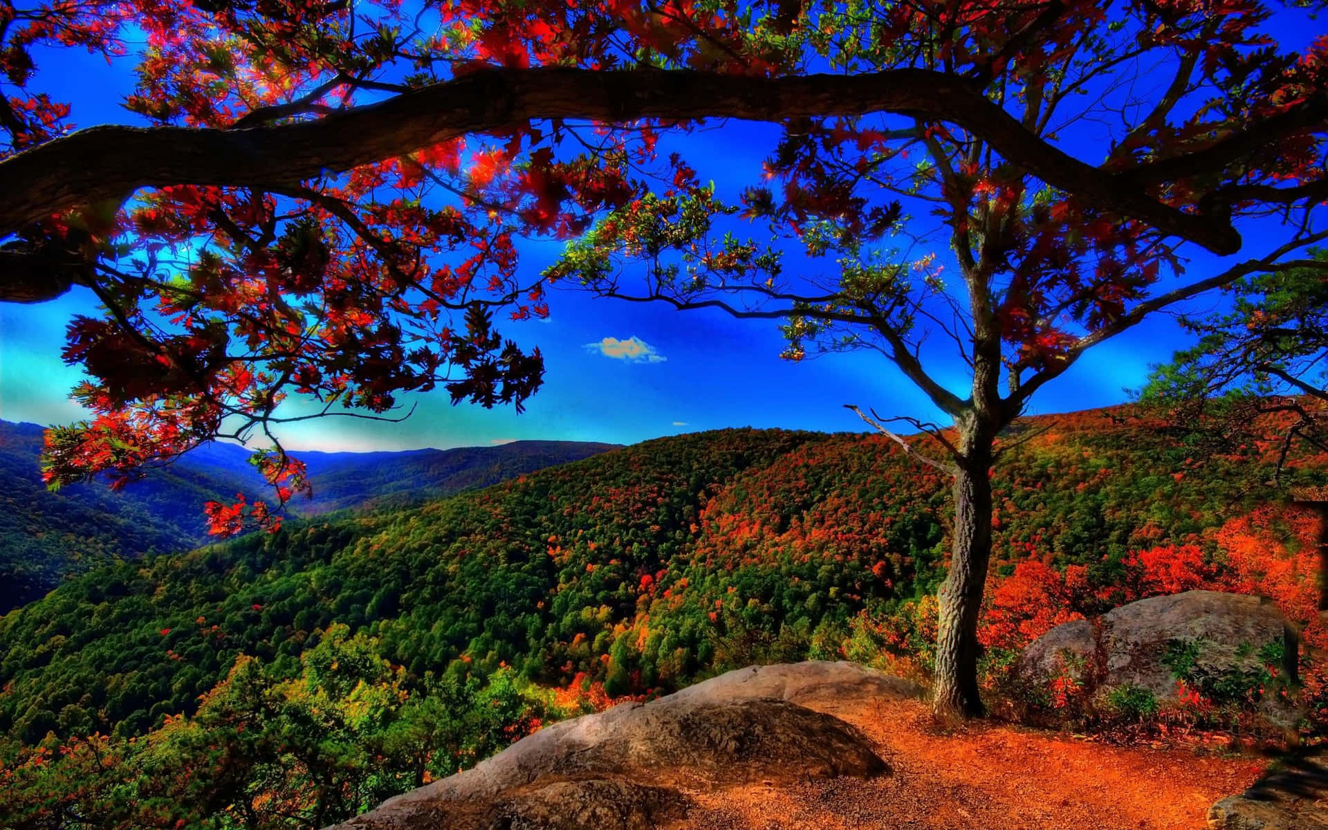 Majestic Fall Mountains Landscape Wallpaper