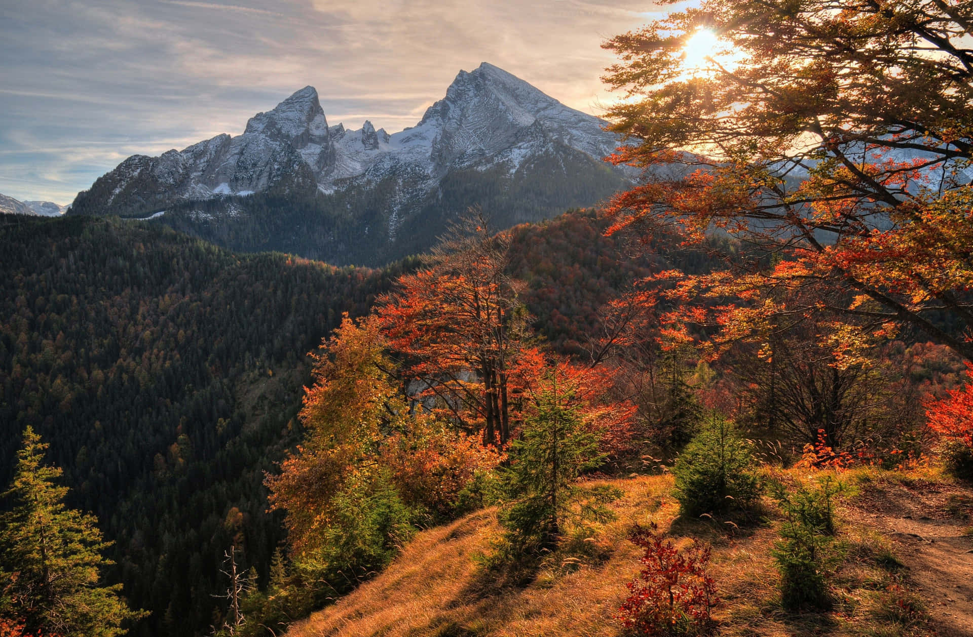 Fall Mountains in Golden Splendor Wallpaper