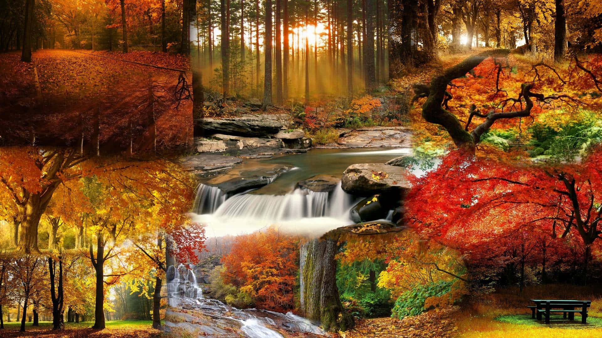 Majestic Fall Nature Landscape Wallpaper