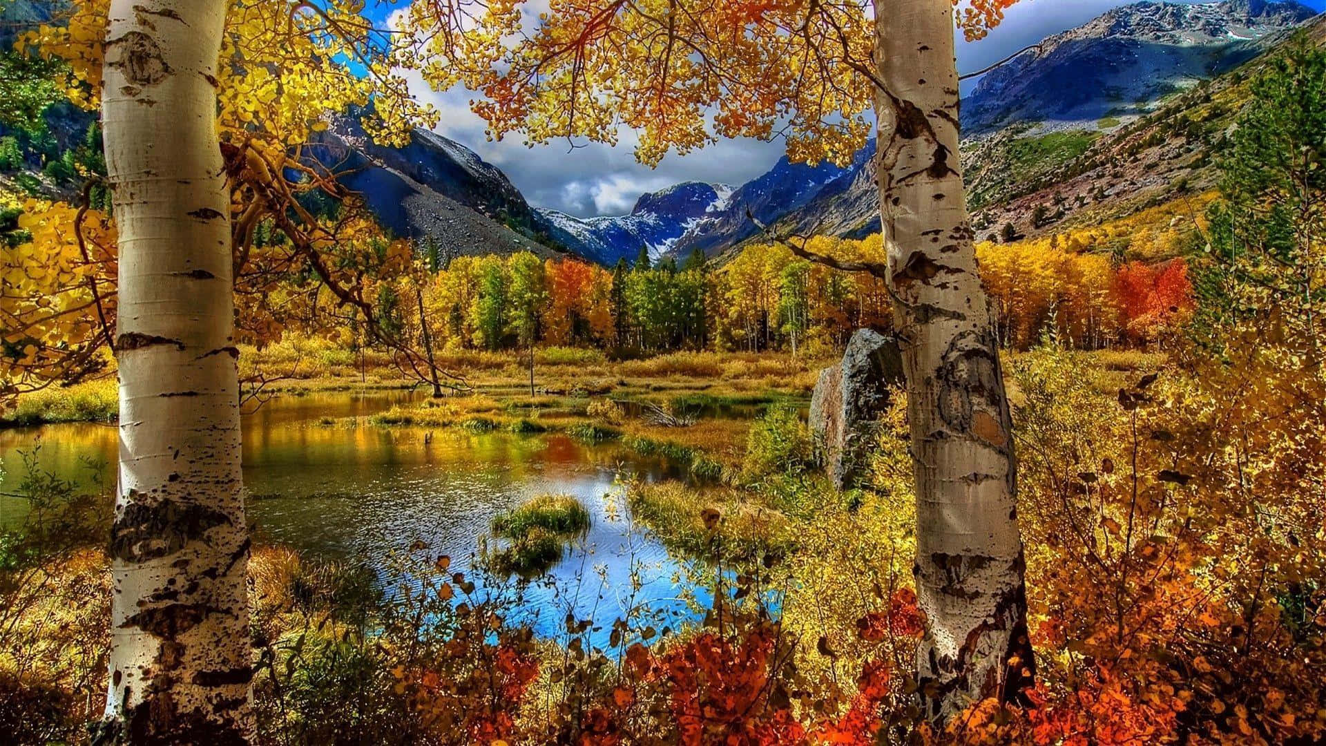 Serene Autumn Forest by the Lake Wallpaper