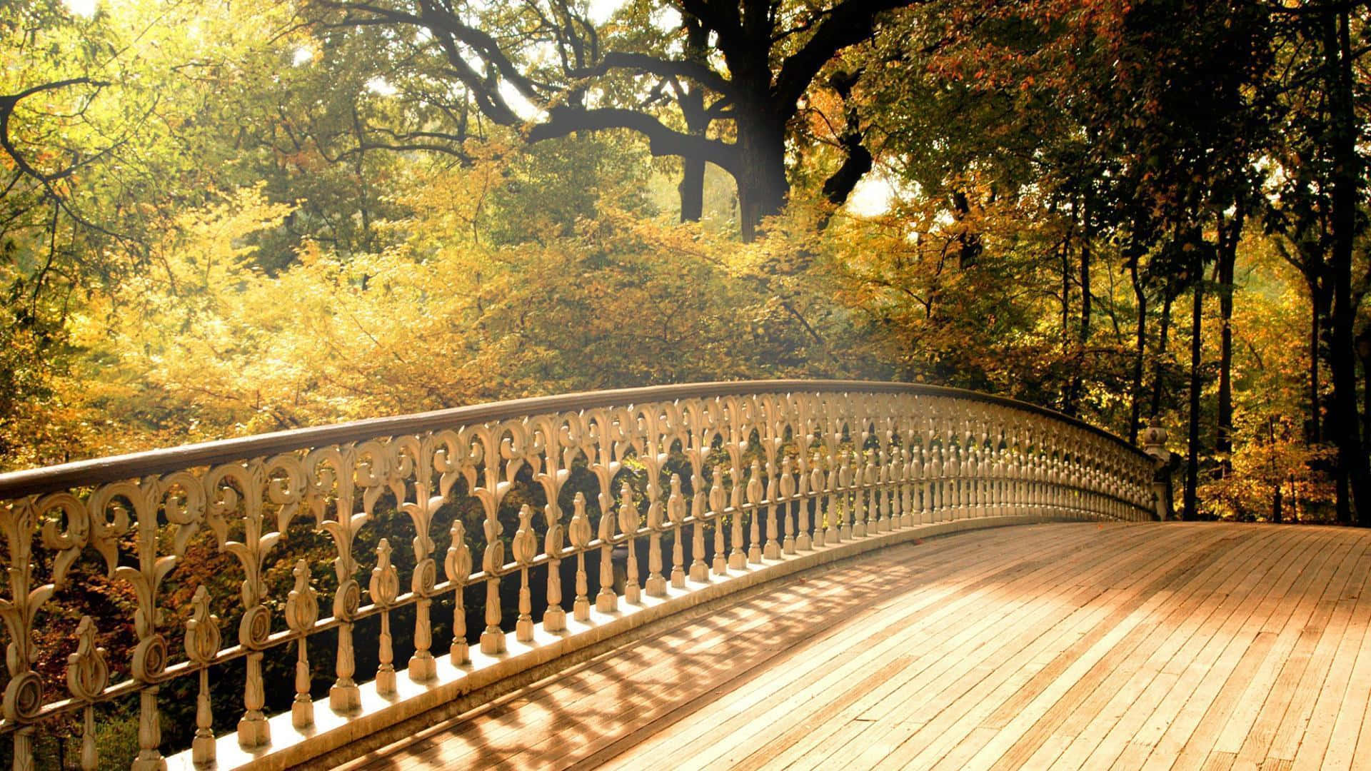 Enchanting Fall Nature Scenery Wallpaper