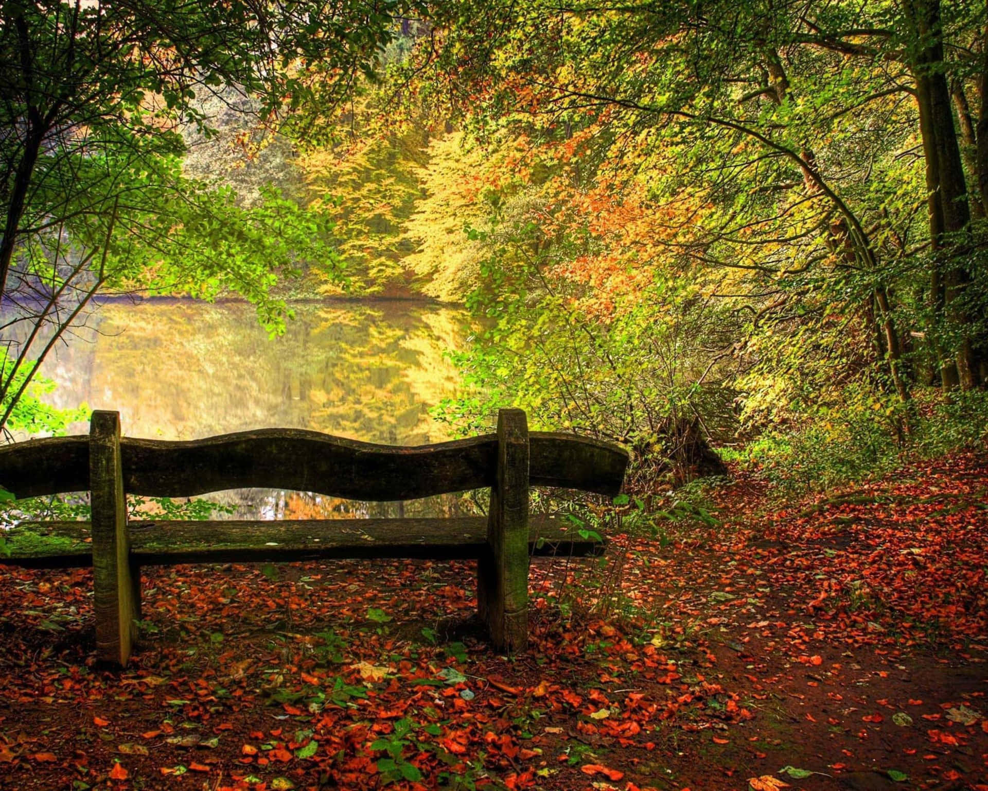 Tranquil Fall Nature Scenery Wallpaper