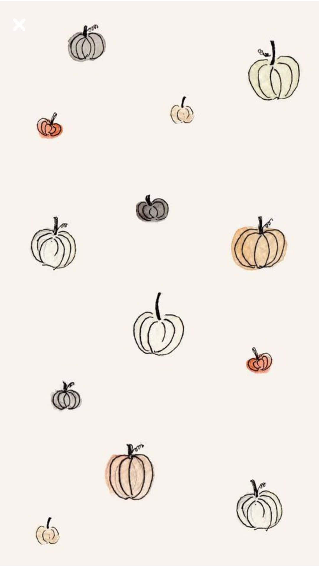 Download Drawing Of Pumpkins Fall Phone Background | Wallpapers.com