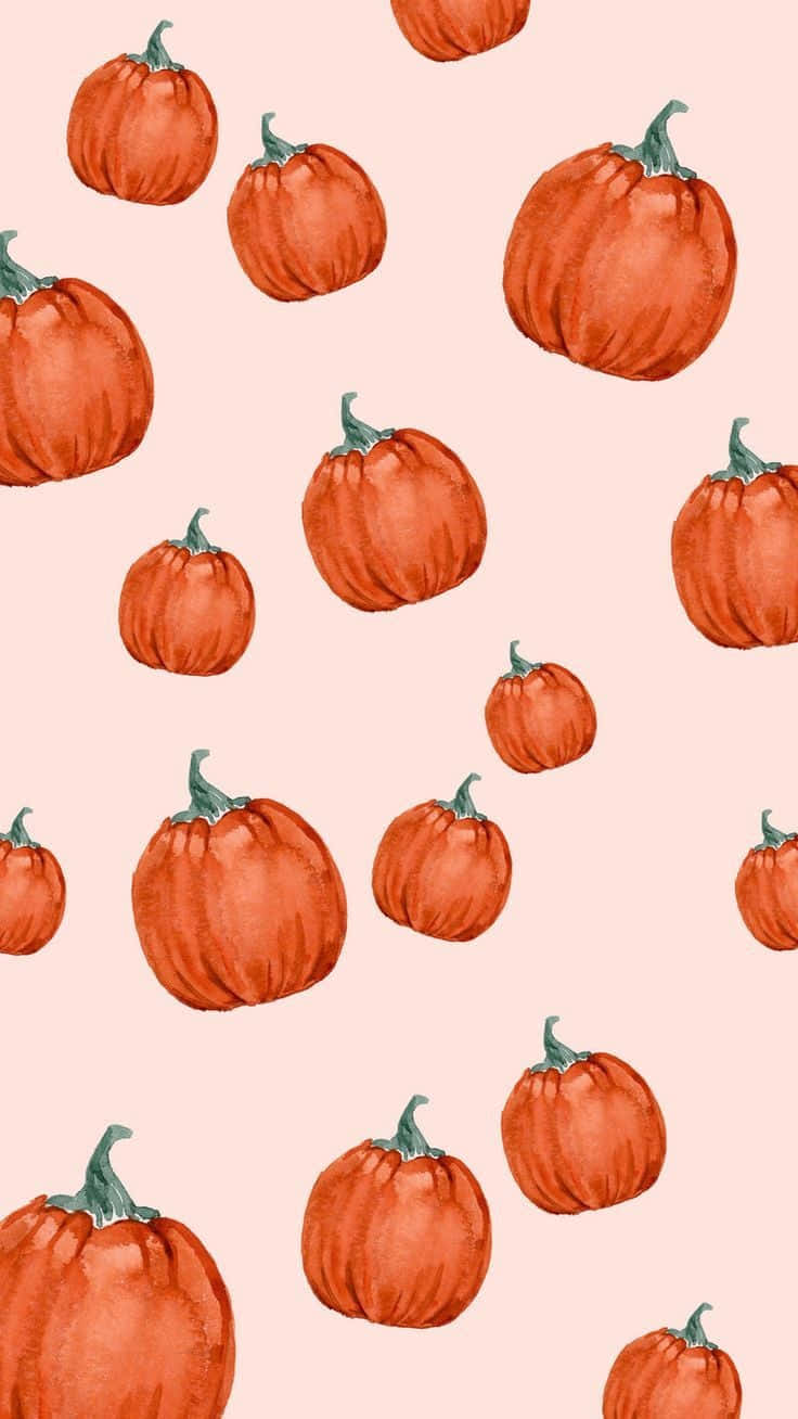Peach Pumpkins Fall Phone Background