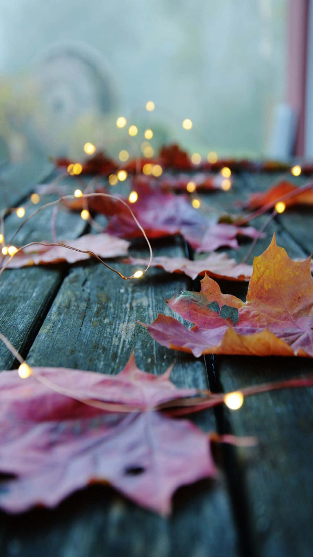 Ahornblättermit Feenlichtern Herbst Hintergrund Für Das Handy