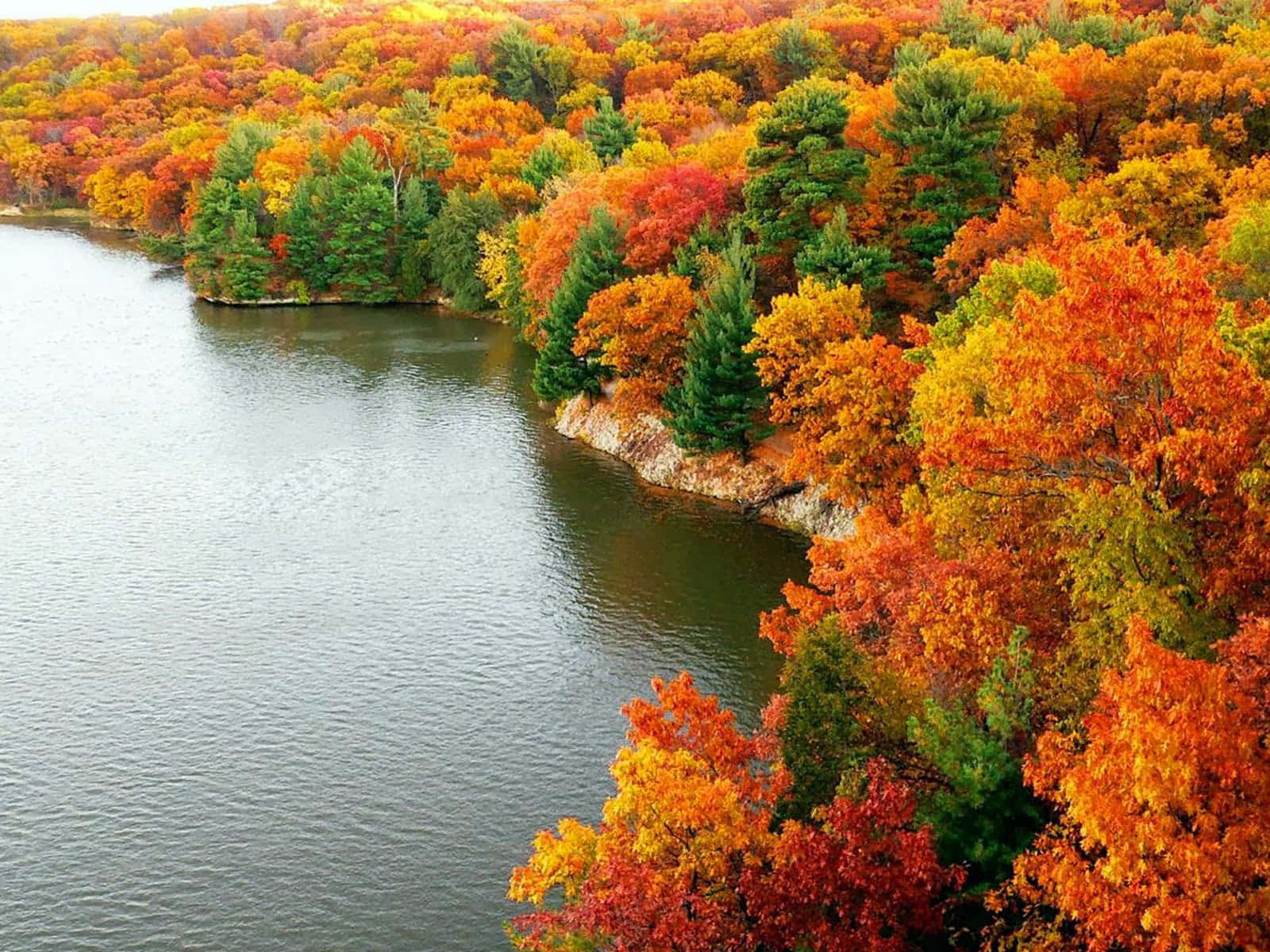 Captivating Autumn Scenery at the Lake Wallpaper