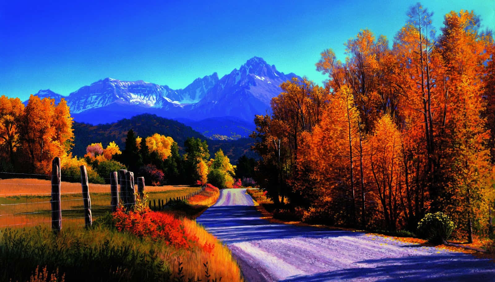 Enchanting Autumn Forest Path Wallpaper