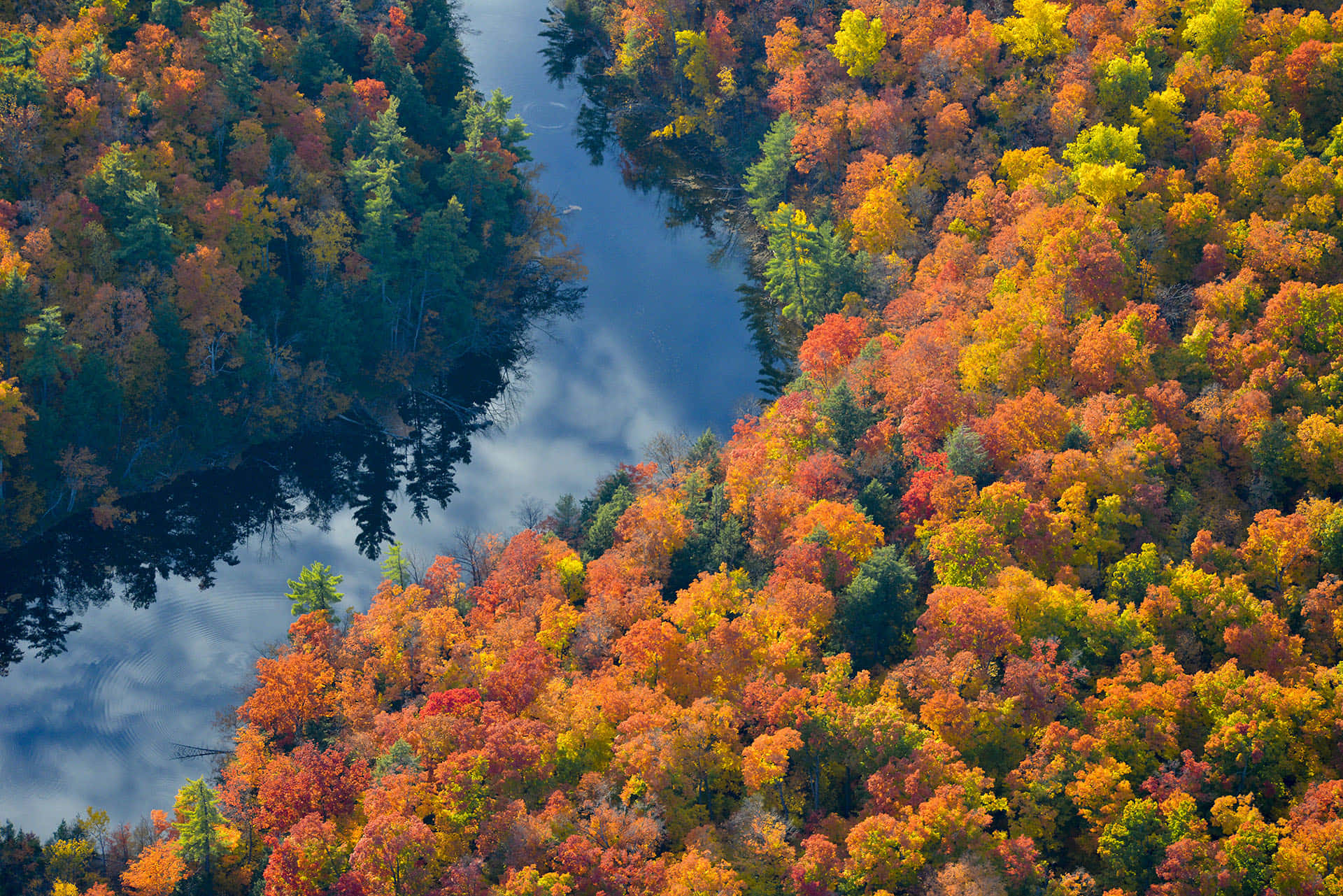 Caption: Enchanting Autumn Forest Path Wallpaper