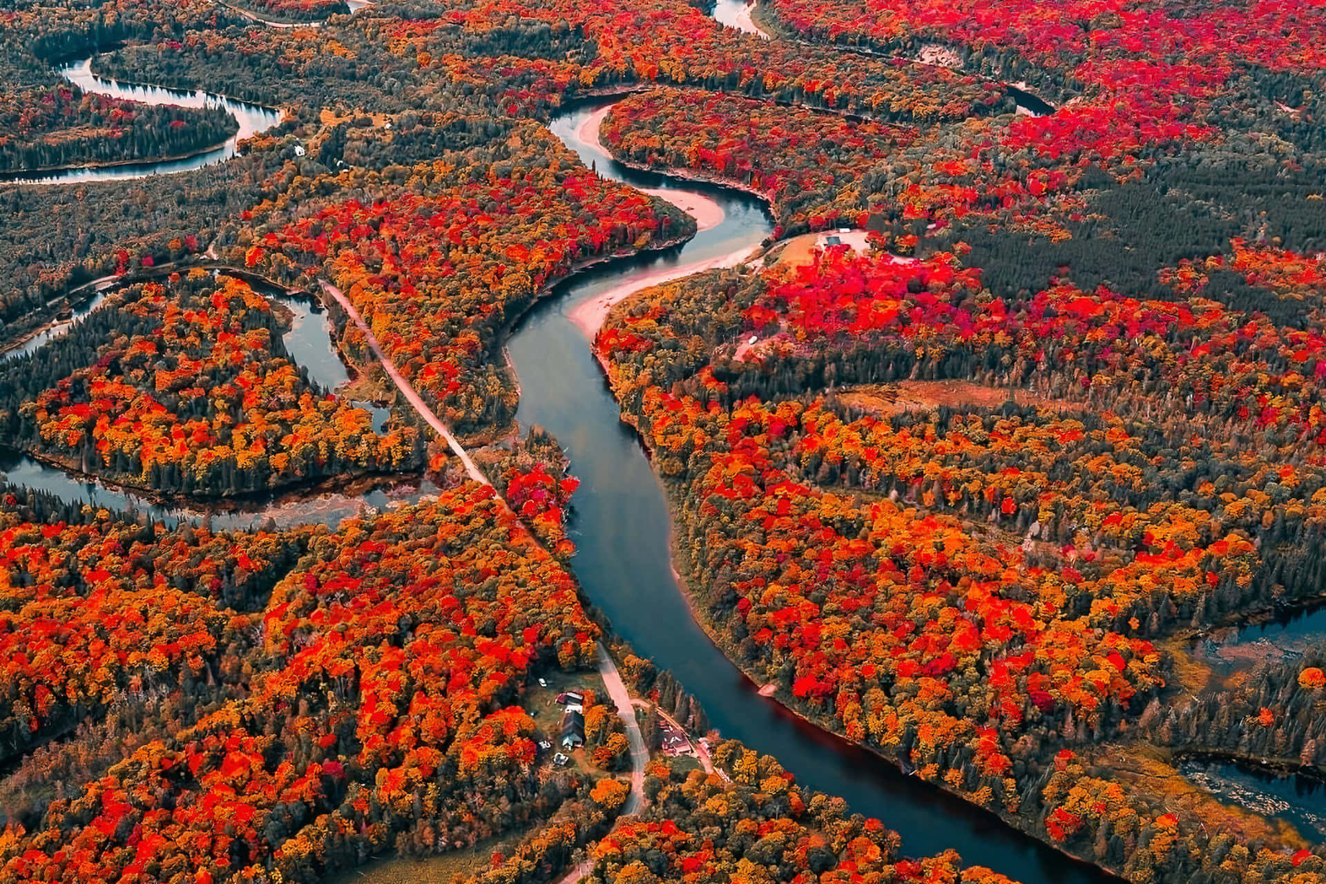 Captivating Fall Scenery Wallpaper
