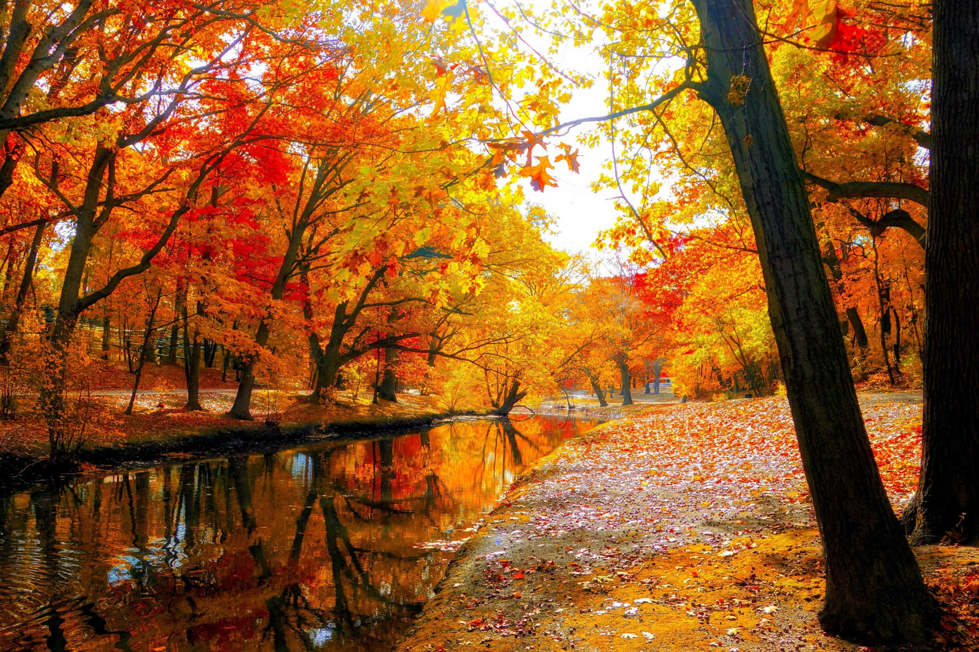 Serene Autumn Scenery Wallpaper