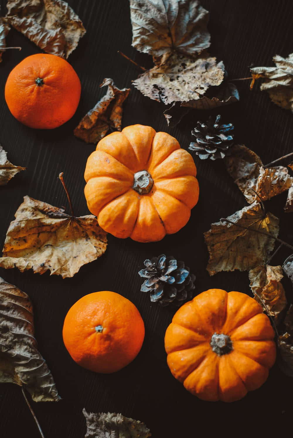 Captivating Fall Pumpkin Display