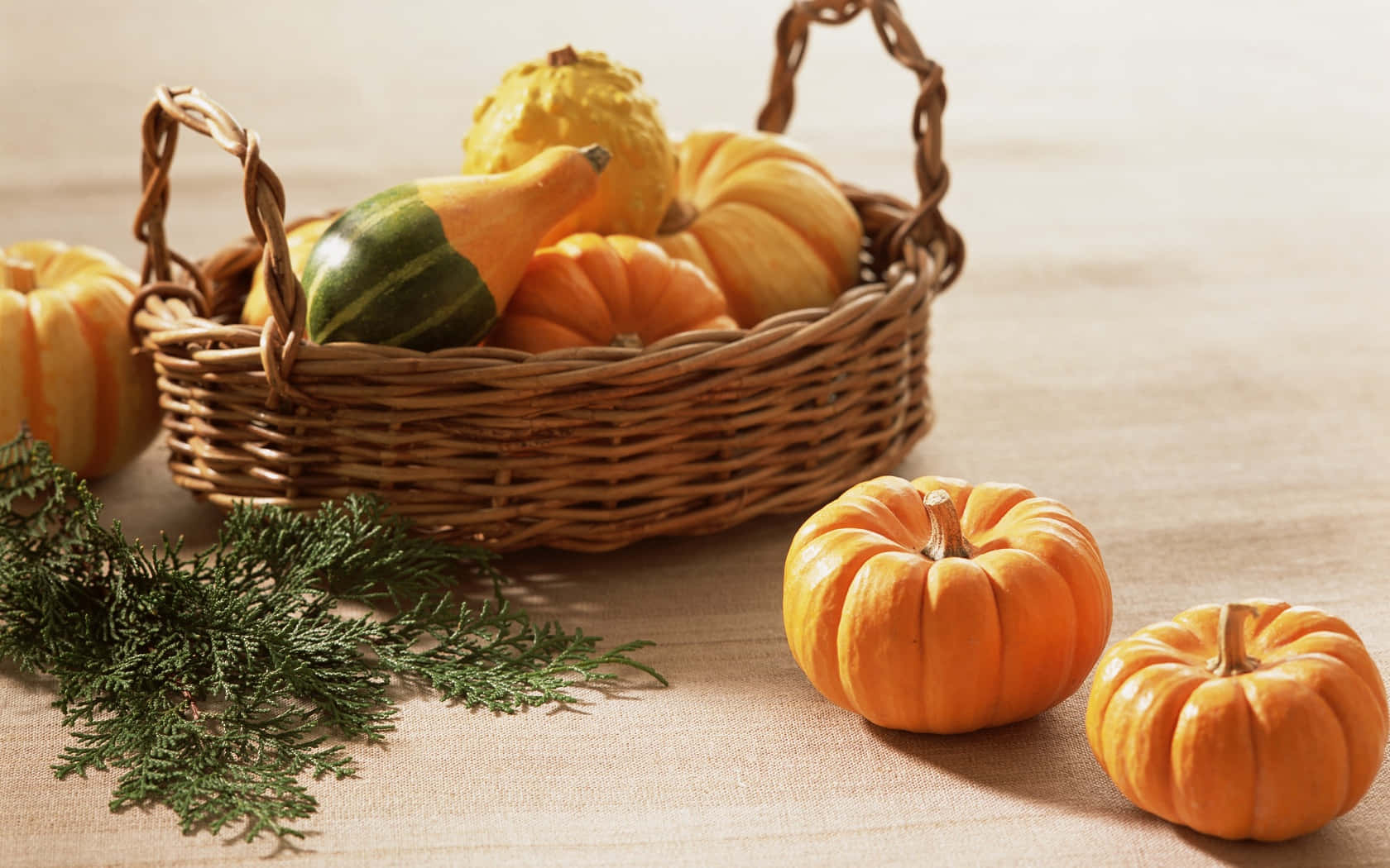 A beautiful fall pumpkin display against a vibrant autumn backdrop