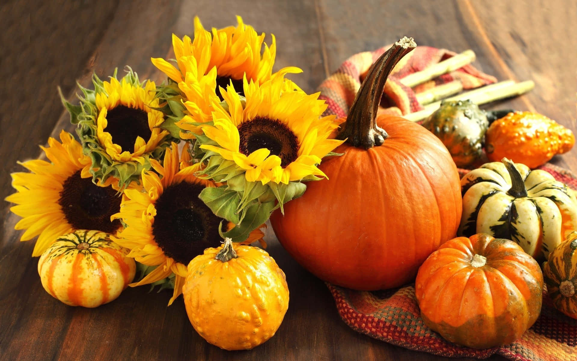 Captivating Fall Pumpkin Display on a Rustic Wooden Table
