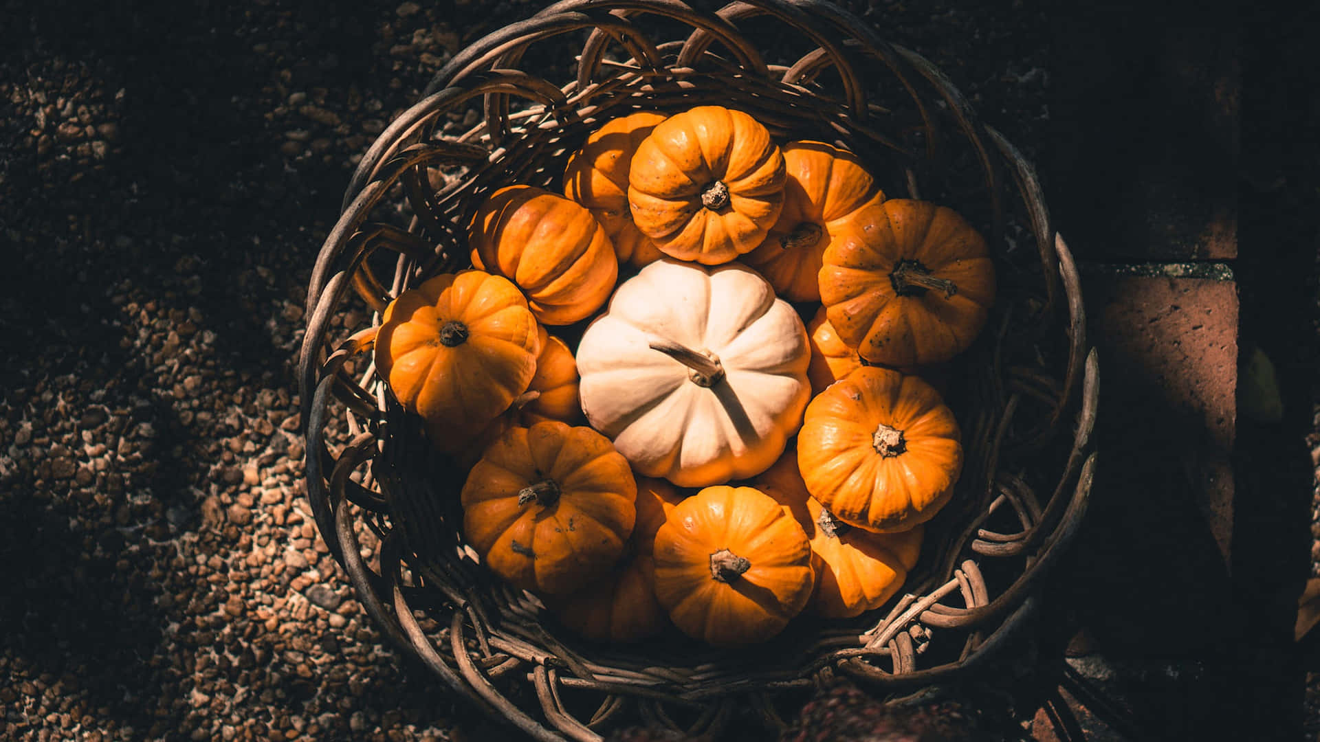 An autumnal harvest scene with a vibrant orange pumpkin surrounded by fallen leaves