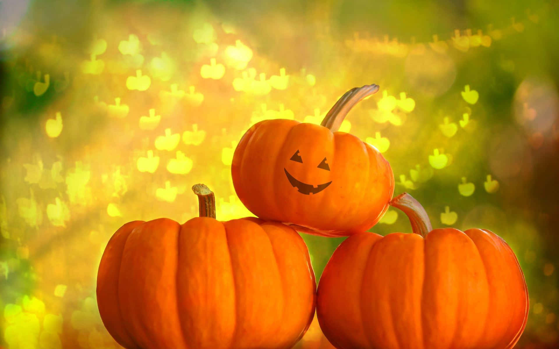 Calabazade Halloween Otoñal Fondo de pantalla