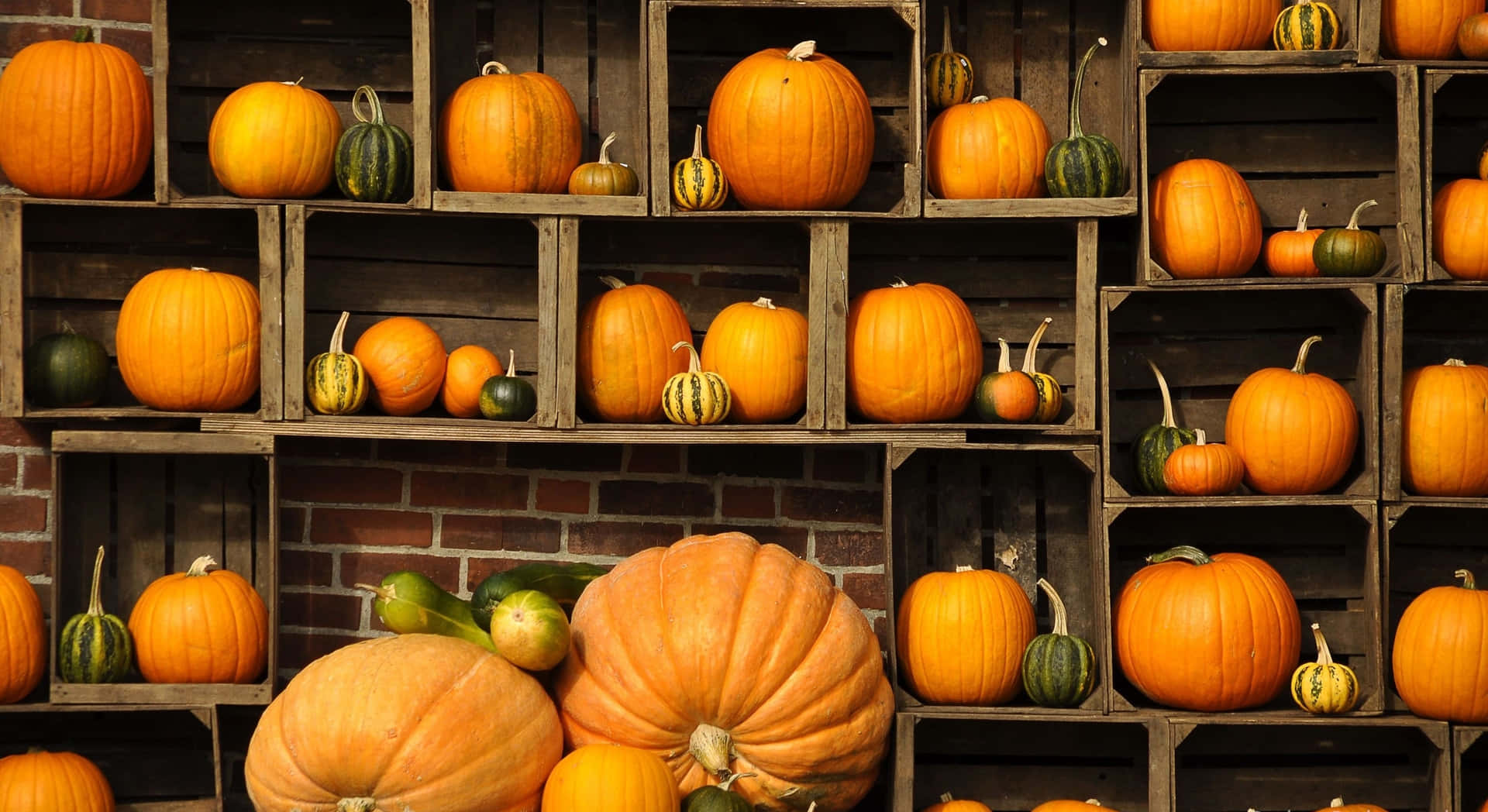 Fall Pumpkin Vegetables Storage Wallpaper
