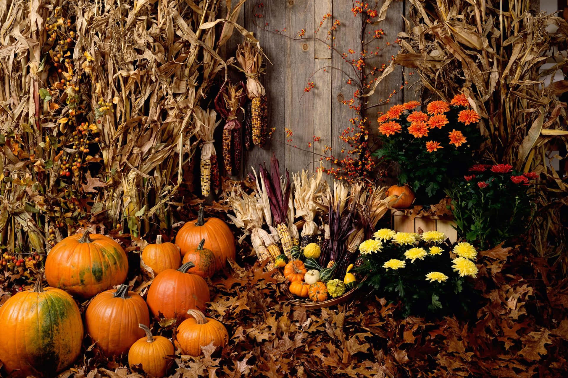 Decorated Fall Pumpkin And Flowers Wallpaper