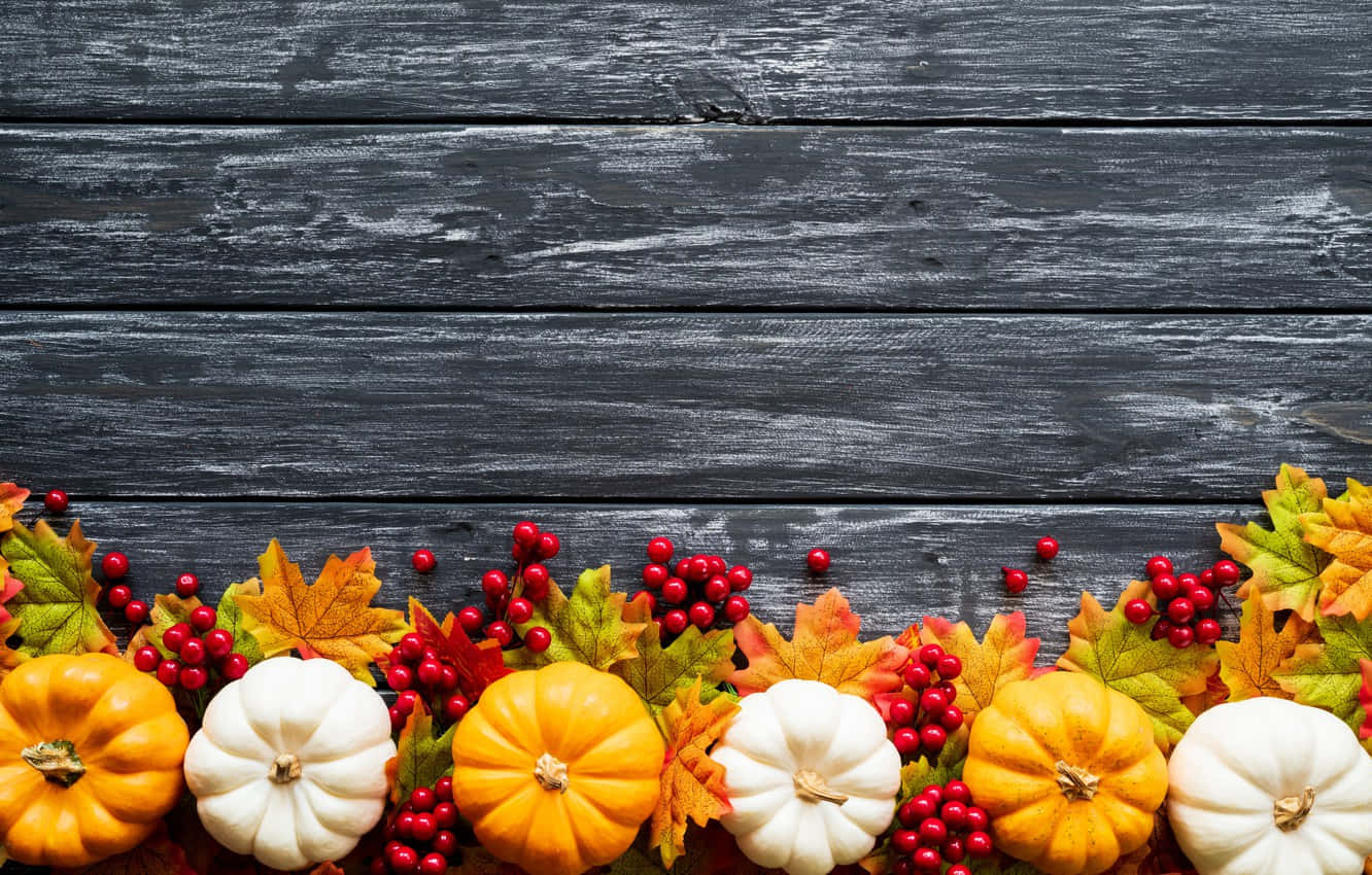 Récolte De Citrouilles D'automne Fond d'écran