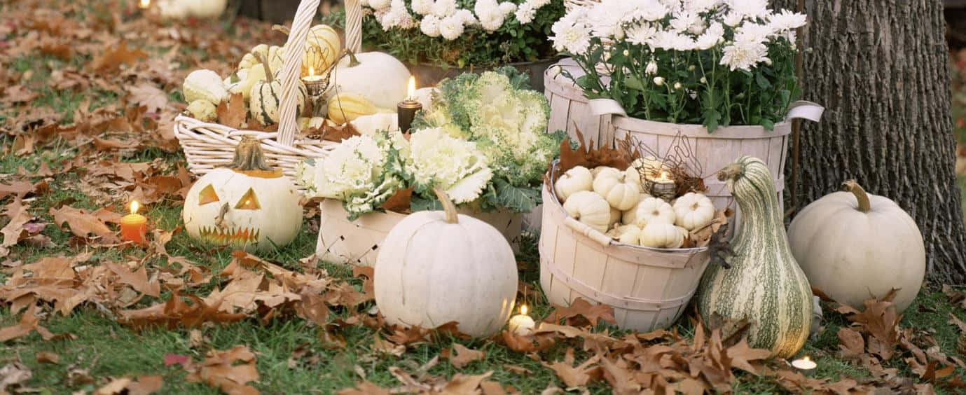 A colorful display of pumpkins during the fall season Wallpaper