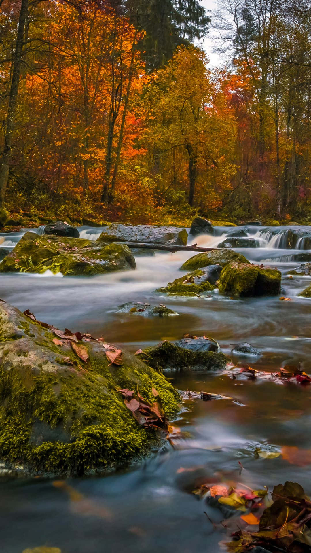 Fall River Scenic View Wallpaper