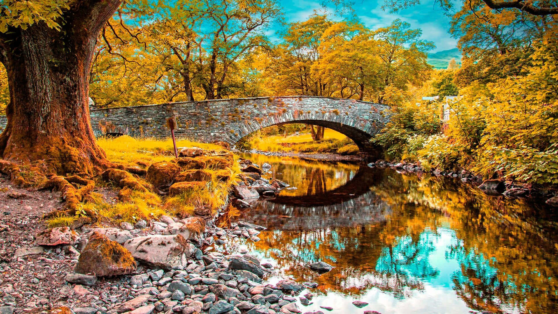 Scenic Fall River Landscape Wallpaper