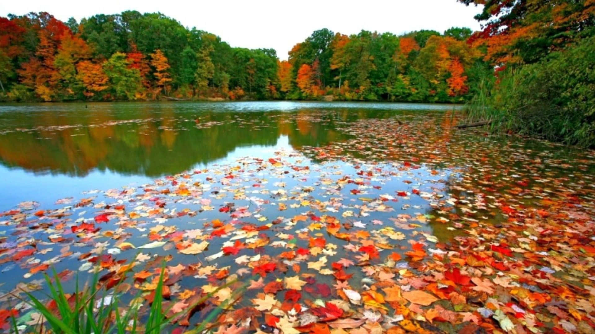Serene Fall River Landscape Wallpaper