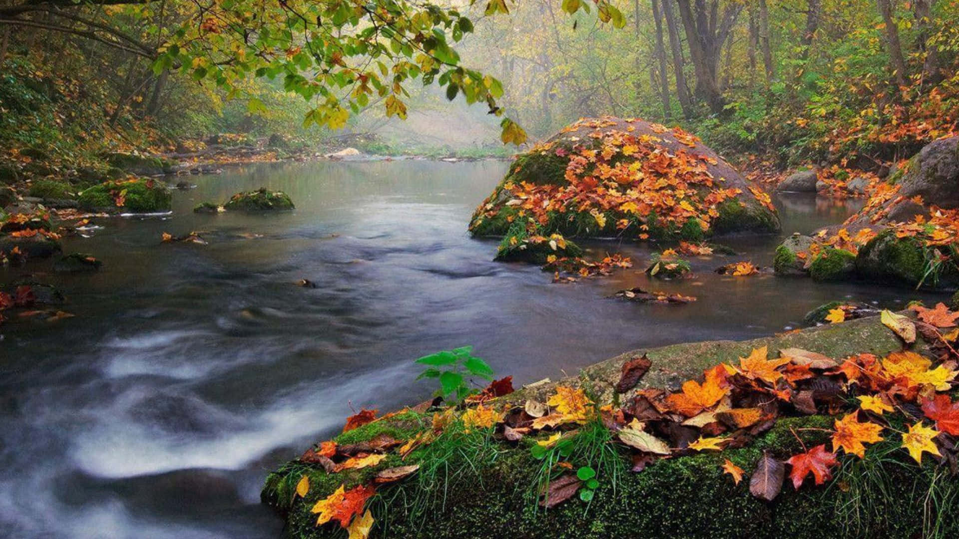 Serene Fall River Flowing Through Lush Foliage Wallpaper