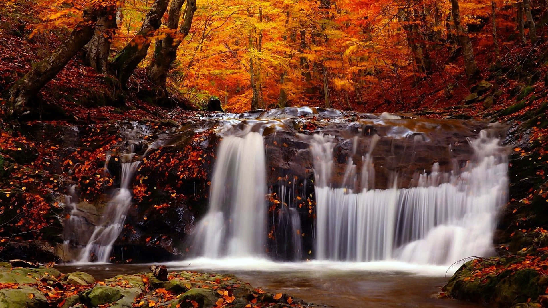 Fall River Scenic Beauty Wallpaper