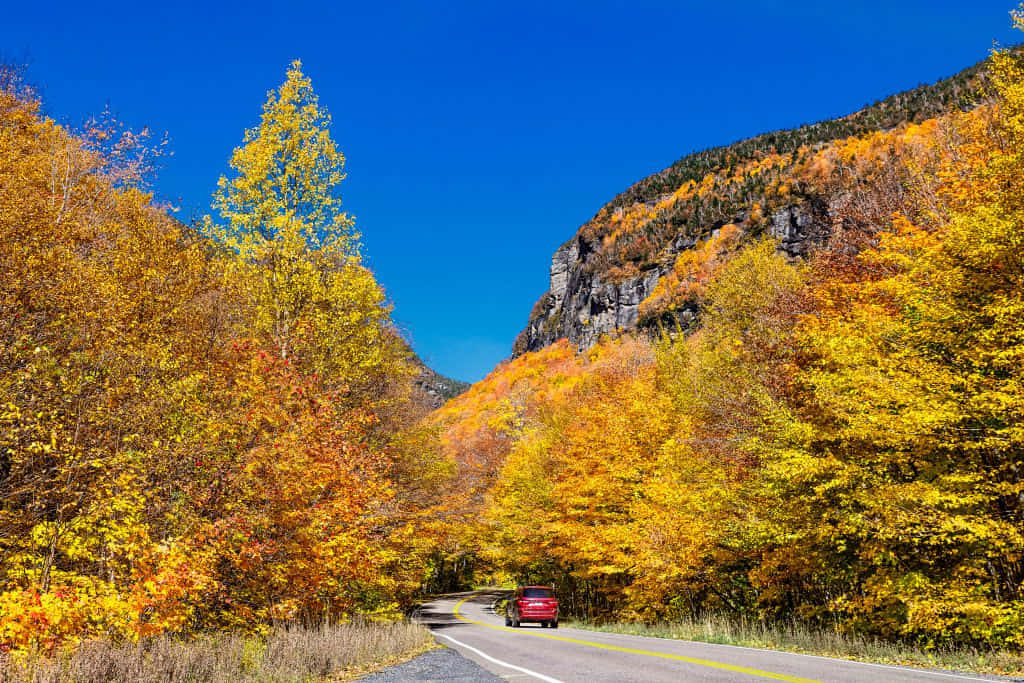 Fall Road - A Picturesque Autumn Drive Wallpaper