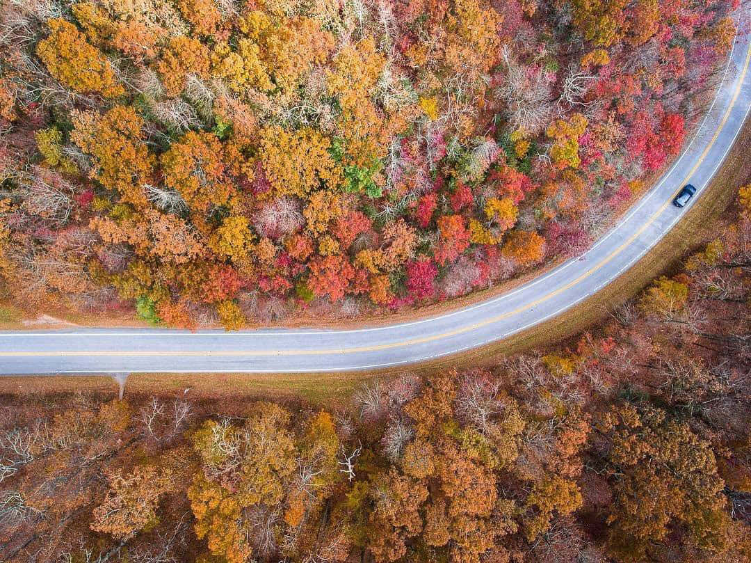 Fall Road - A picturesque journey through vibrant autumn colors Wallpaper