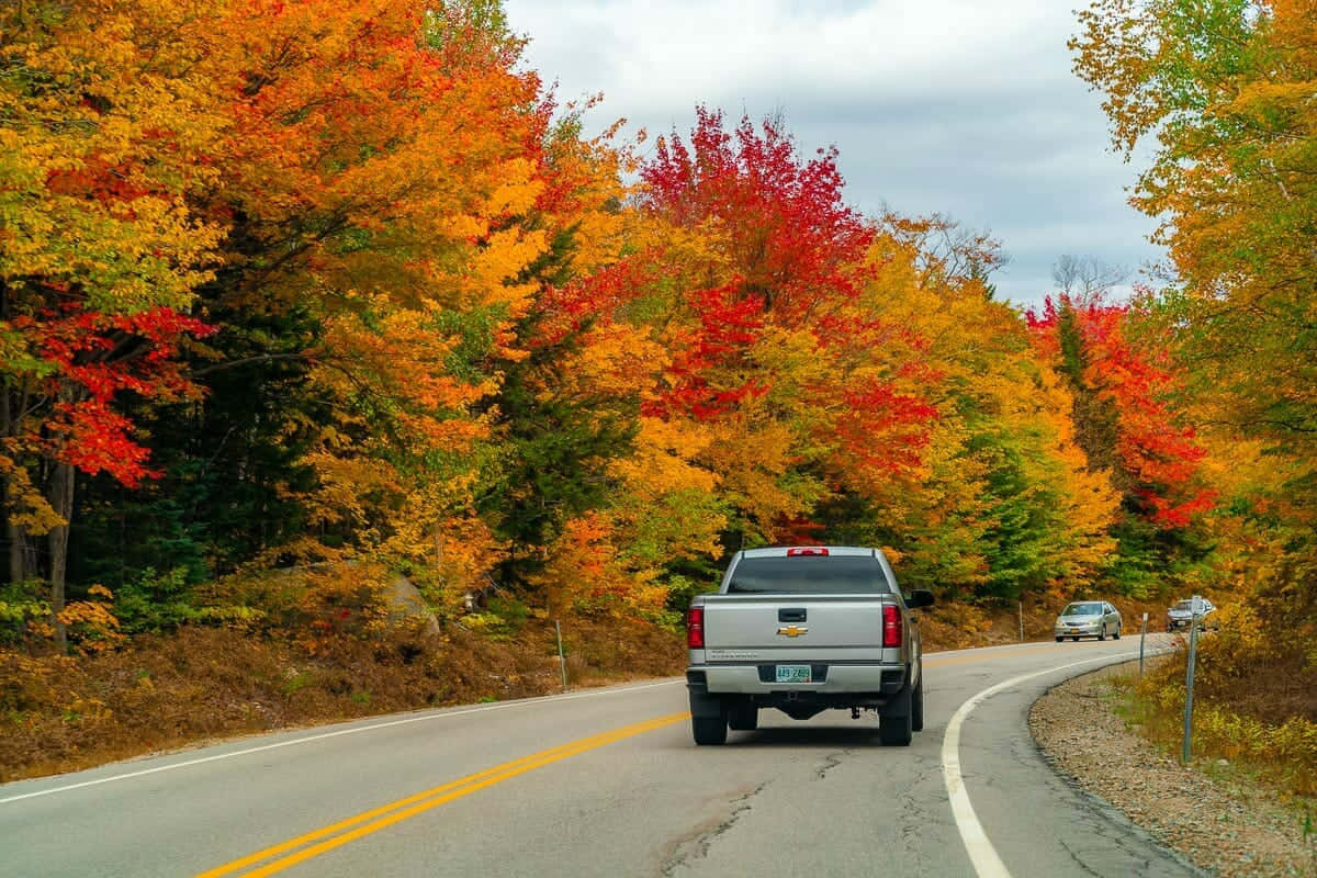 A Scenic Fall Road Wallpaper