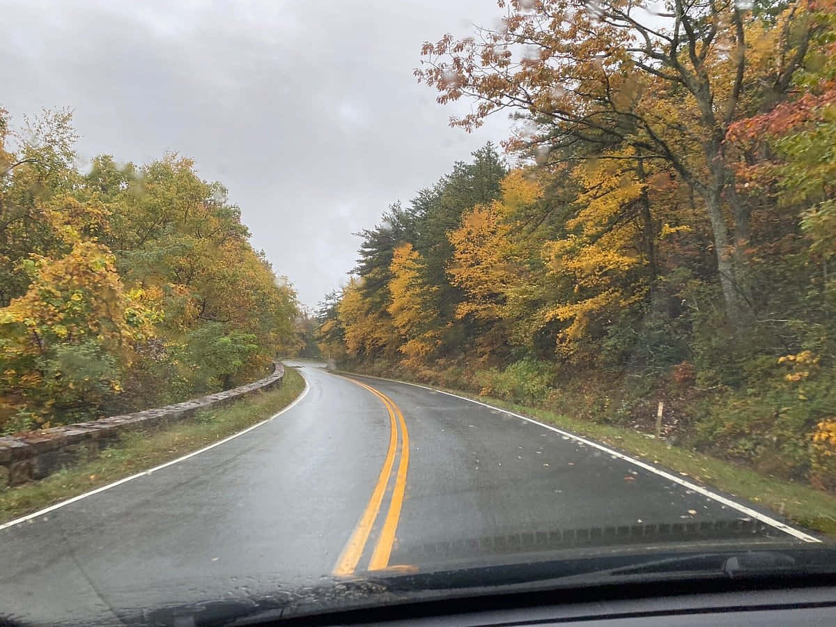 Scenic Autumn Drive Wallpaper
