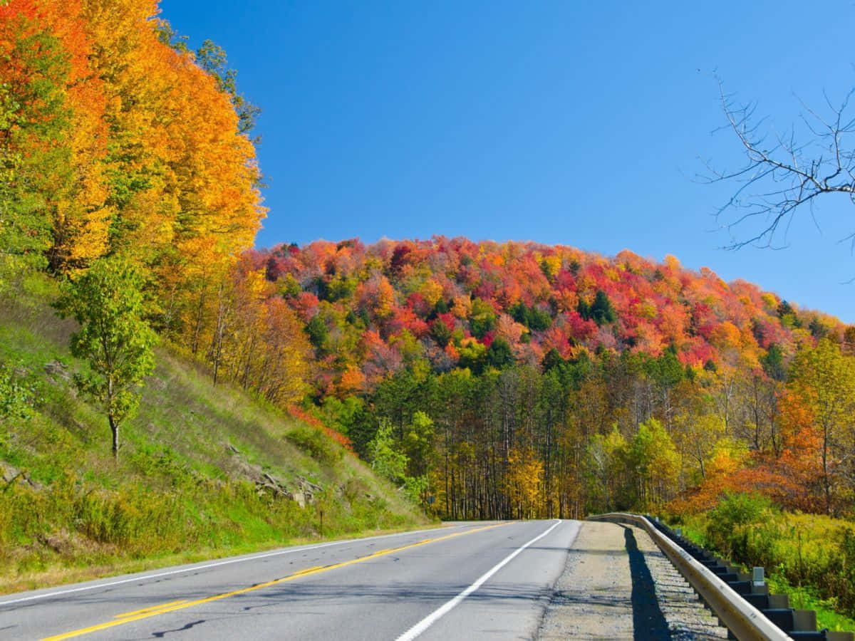 Scenic Fall Road with Colorful Foliage Wallpaper