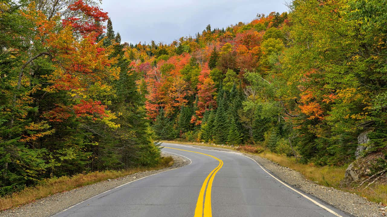 Scenic Fall Road with Colorful Foliage Wallpaper