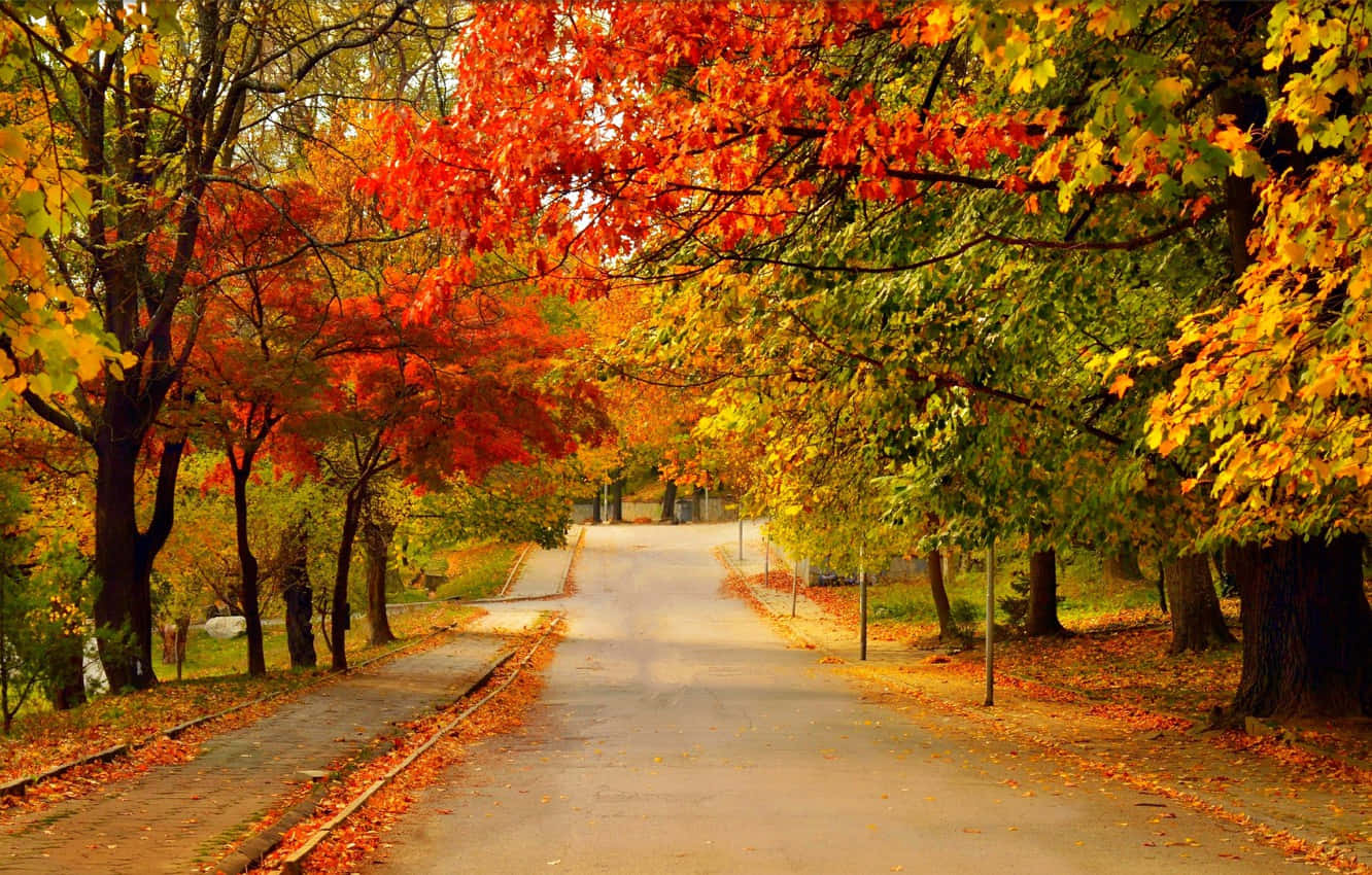 Caption: Beautiful Fall Road Wallpaper