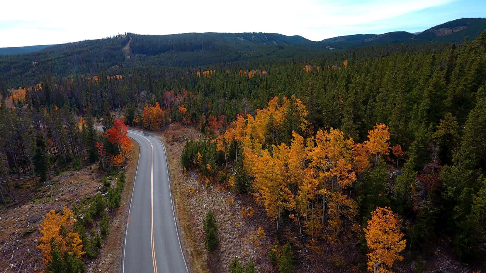 Scenic Fall Road in Vibrant Autumn Forest Wallpaper