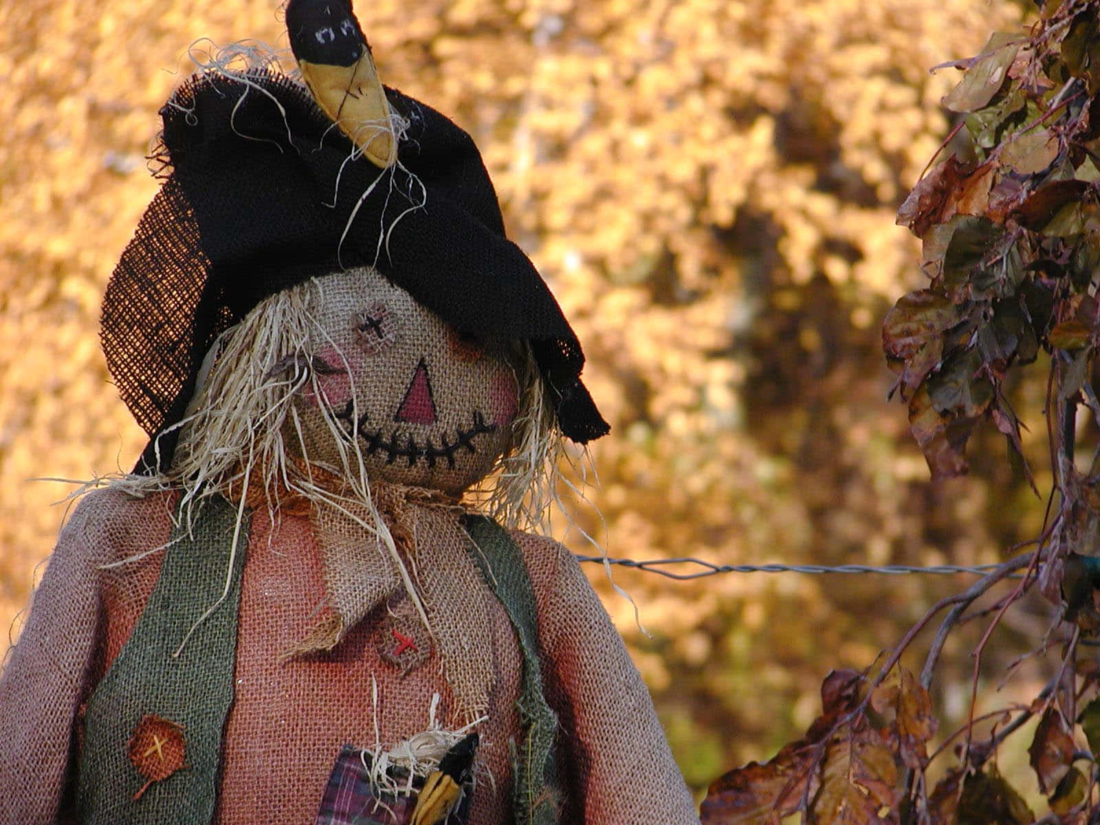 Fall Scarecrow standing amidst vibrant autumn foliage Wallpaper