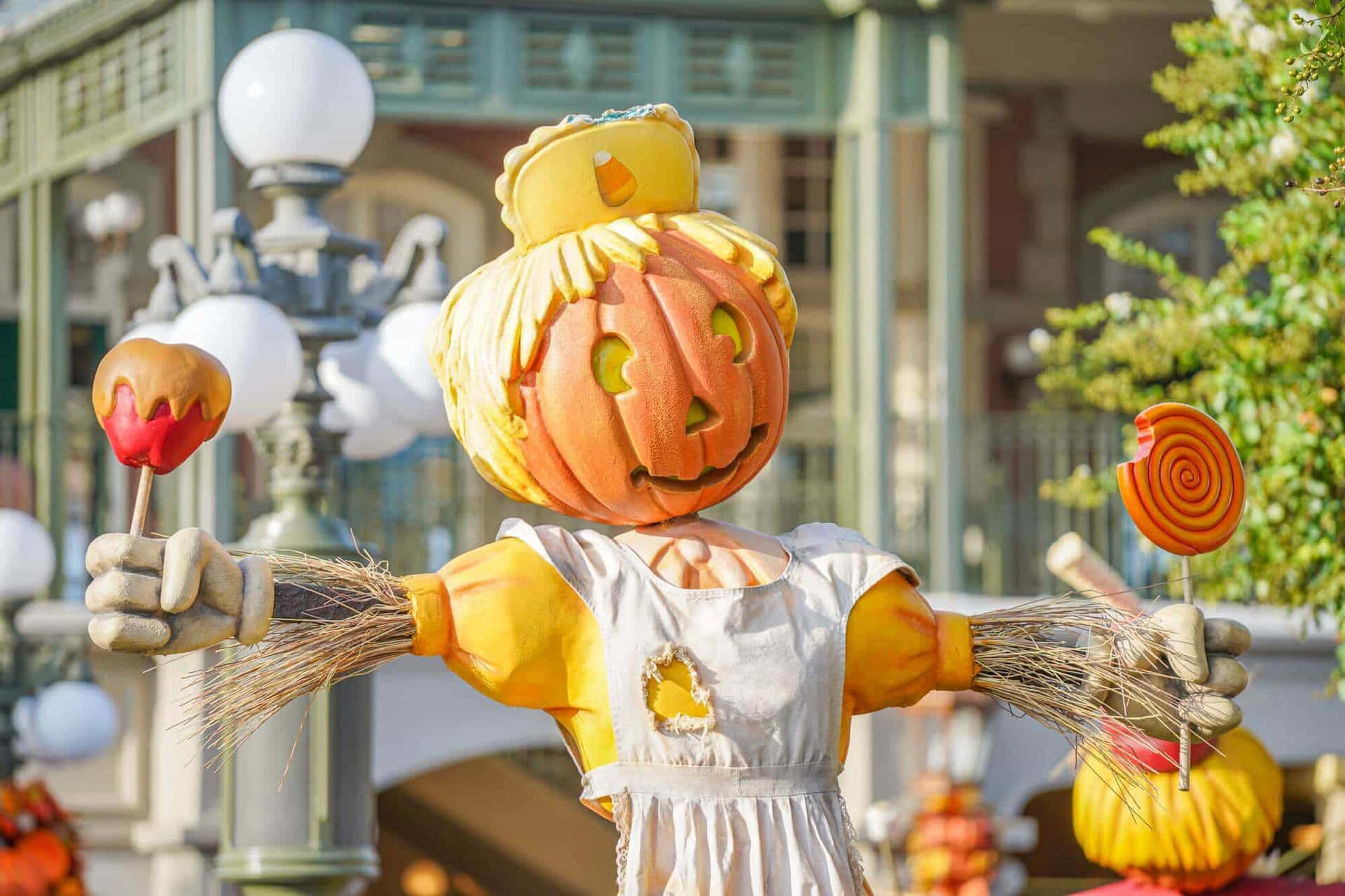 Fall Scarecrow Standing in a Picturesque Pumpkin Patch Wallpaper