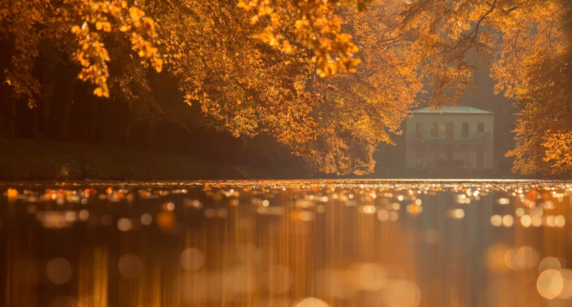 Genießedie Schönheit Des Herbstes Wallpaper
