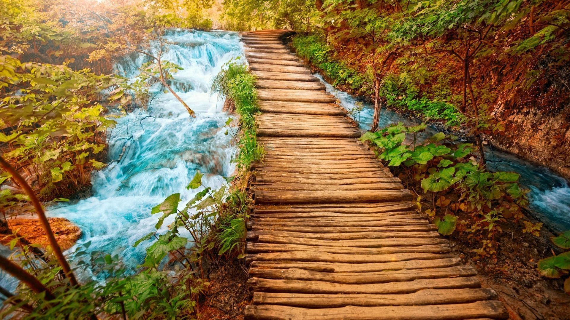 Fall Season Waterfall Wooden Path Wallpaper