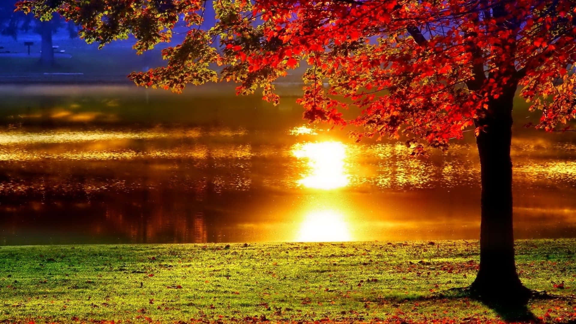 Enchanting Fall Sunset Over a Serene Lake Wallpaper