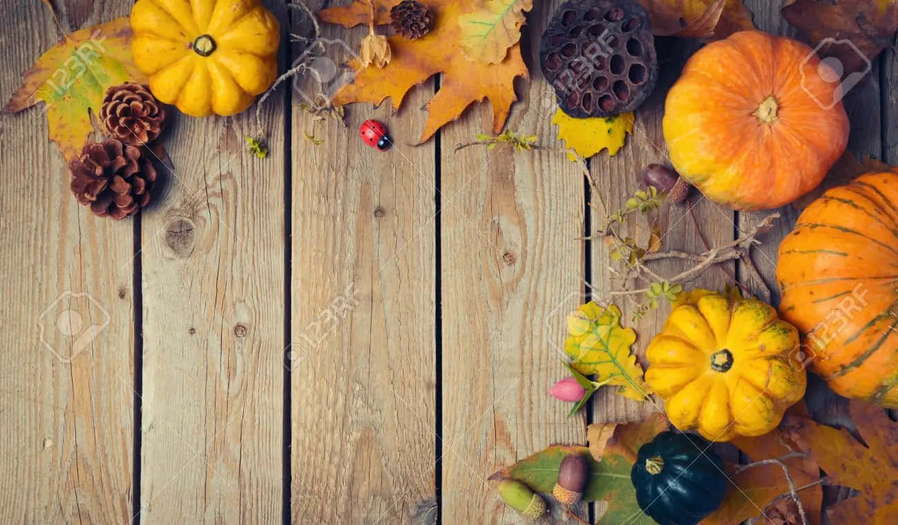 Coccinellazucca Per L'autunno E Il Ringraziamento Sfondo