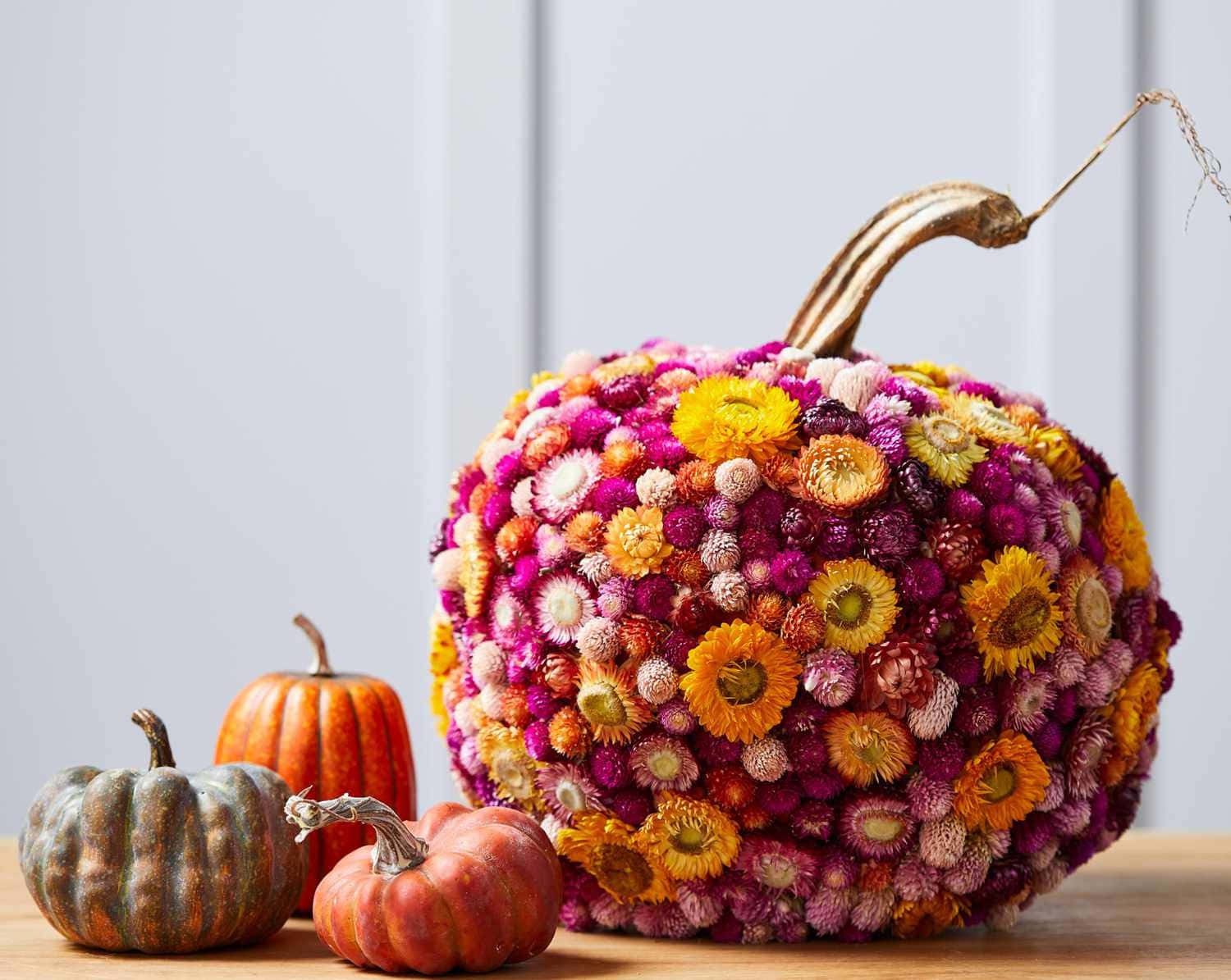 Fall Thanksgiving Flower Pumpkin Wallpaper