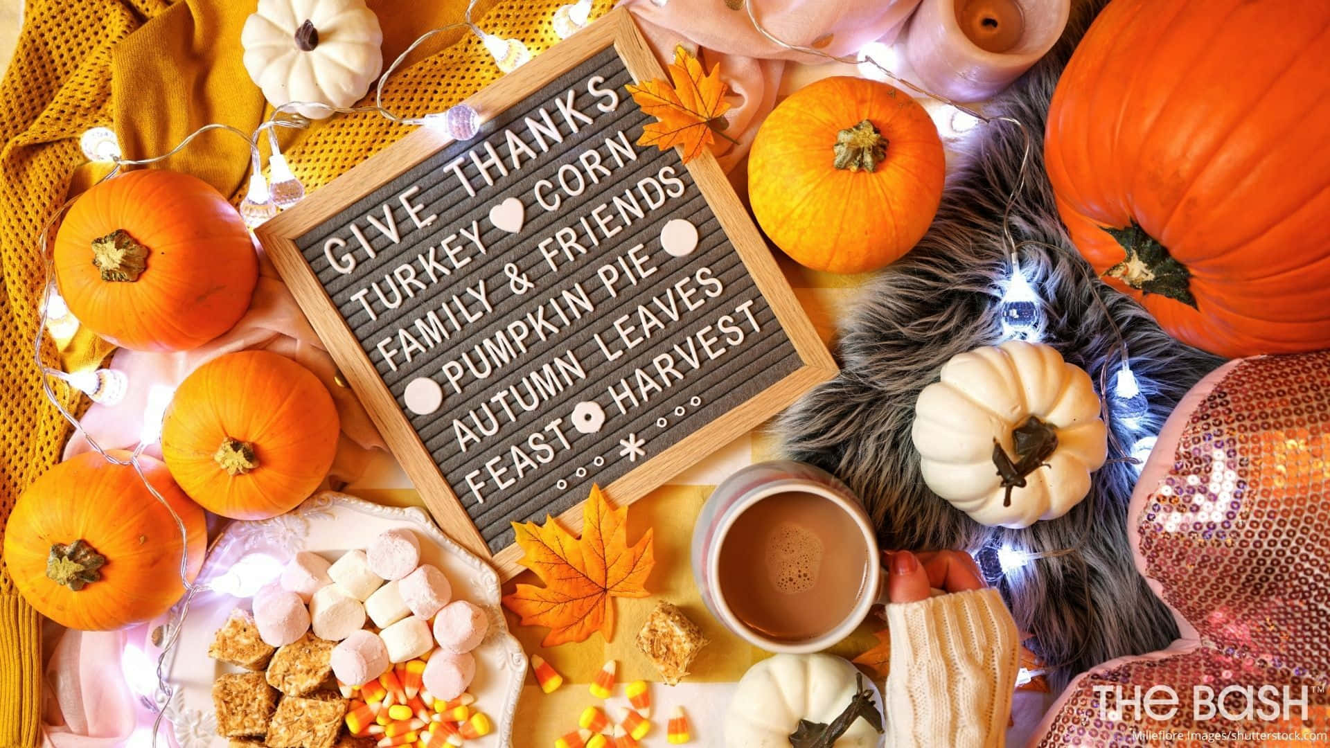 Fall Thanksgiving Chip Board Wallpaper