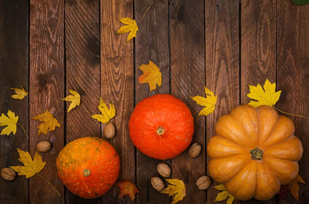 Fall Thanksgiving Three Pumpkins Wallpaper