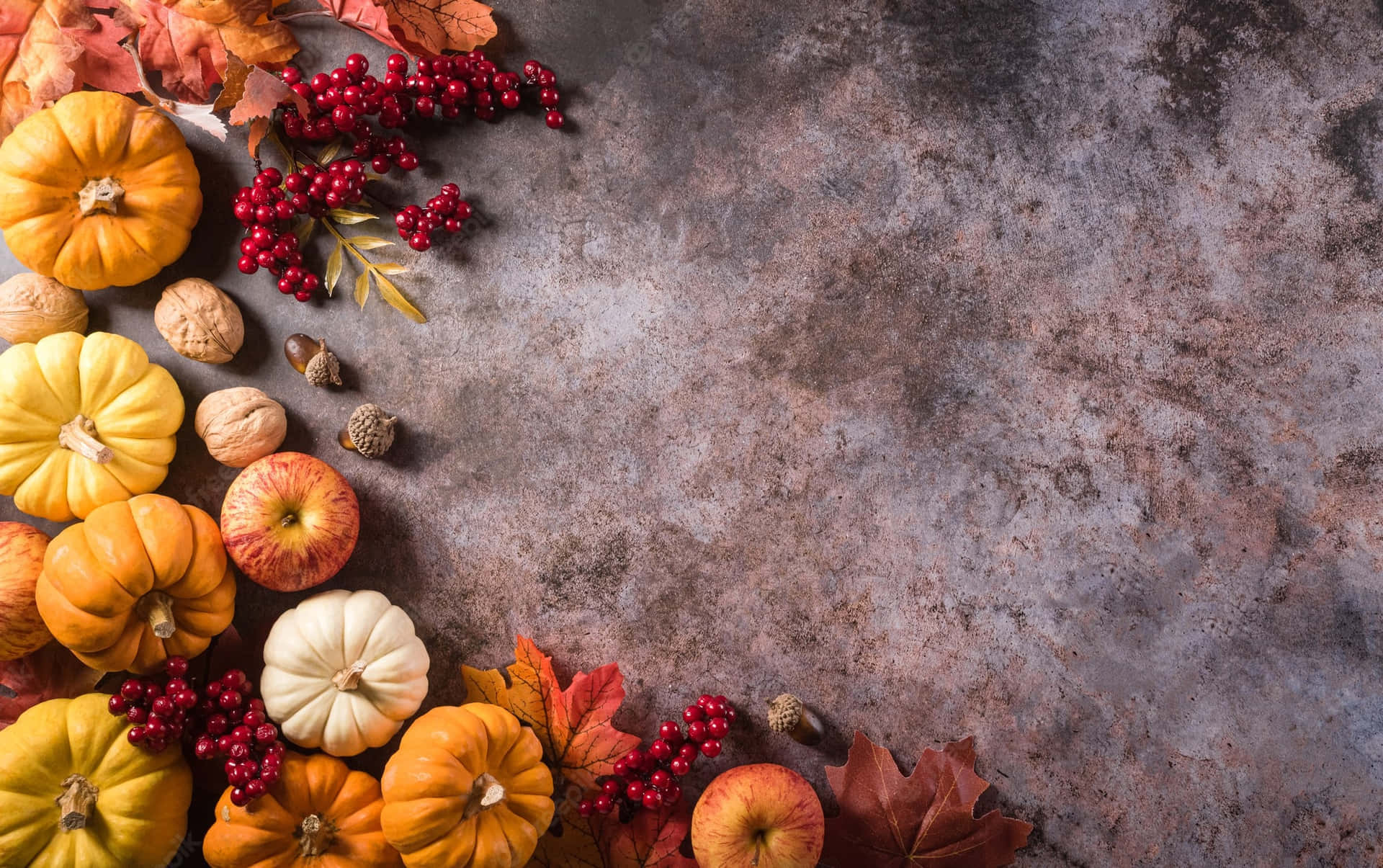 Celebrate The Season Of Thanks With A Festive Fall Thanksgiving! Wallpaper