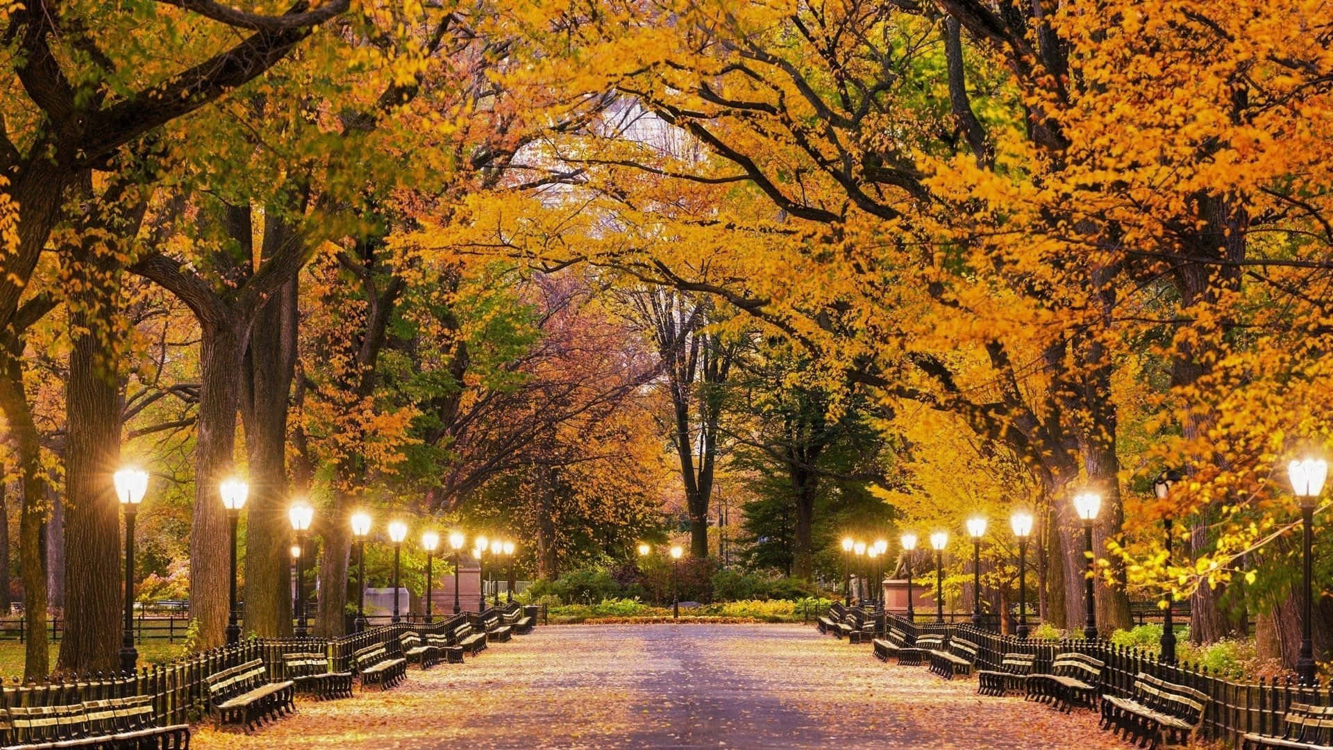 Fall Town's Vibrant Autumn Scenery Wallpaper